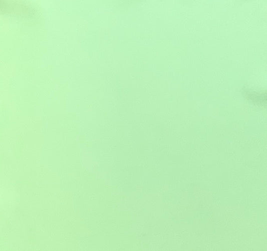 Italian Leather Hide | Pale Green image 0