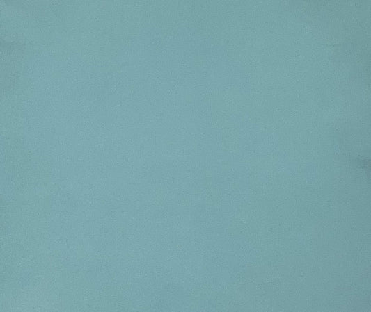 Italian Leather Hide | Sea Green image 0