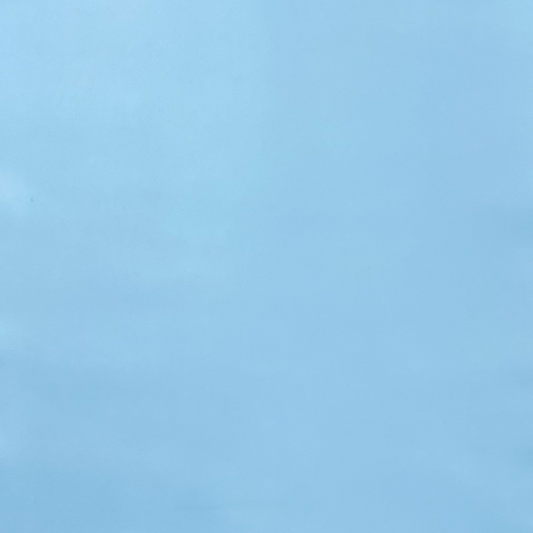 Italian Leather Hide | Robin Egg Blue image 0