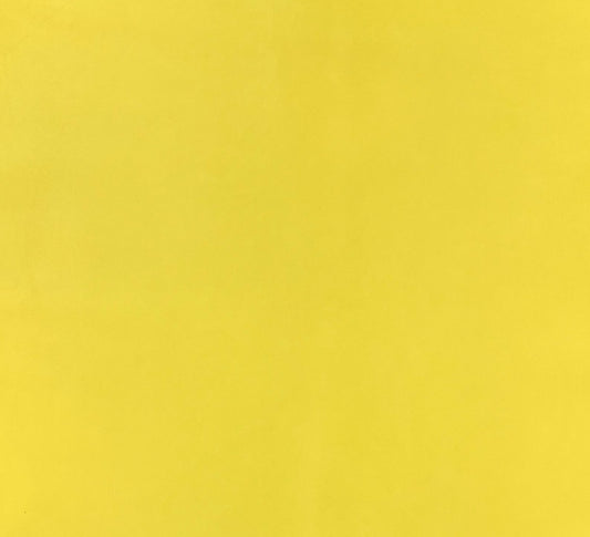 Italian Leather Hide | Sunshine (Yellow) image 0