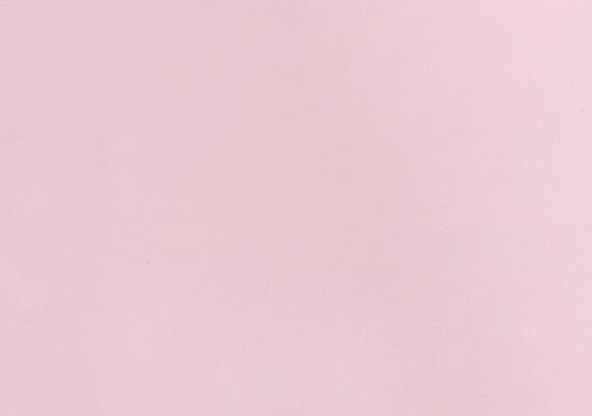 Italian Leather Hide | Ballet Pink image 0