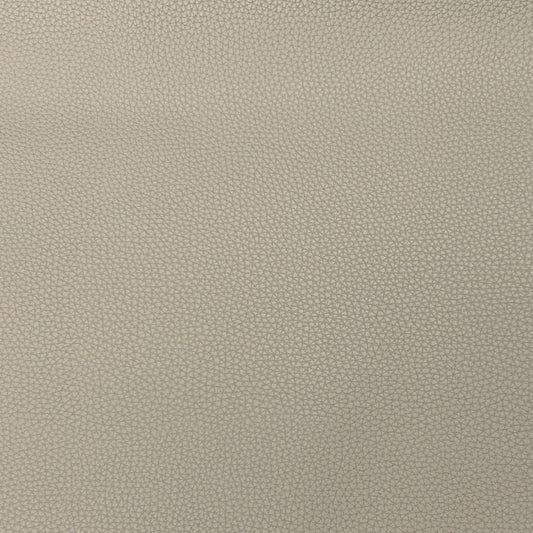 Faux Leather | Textured image 7