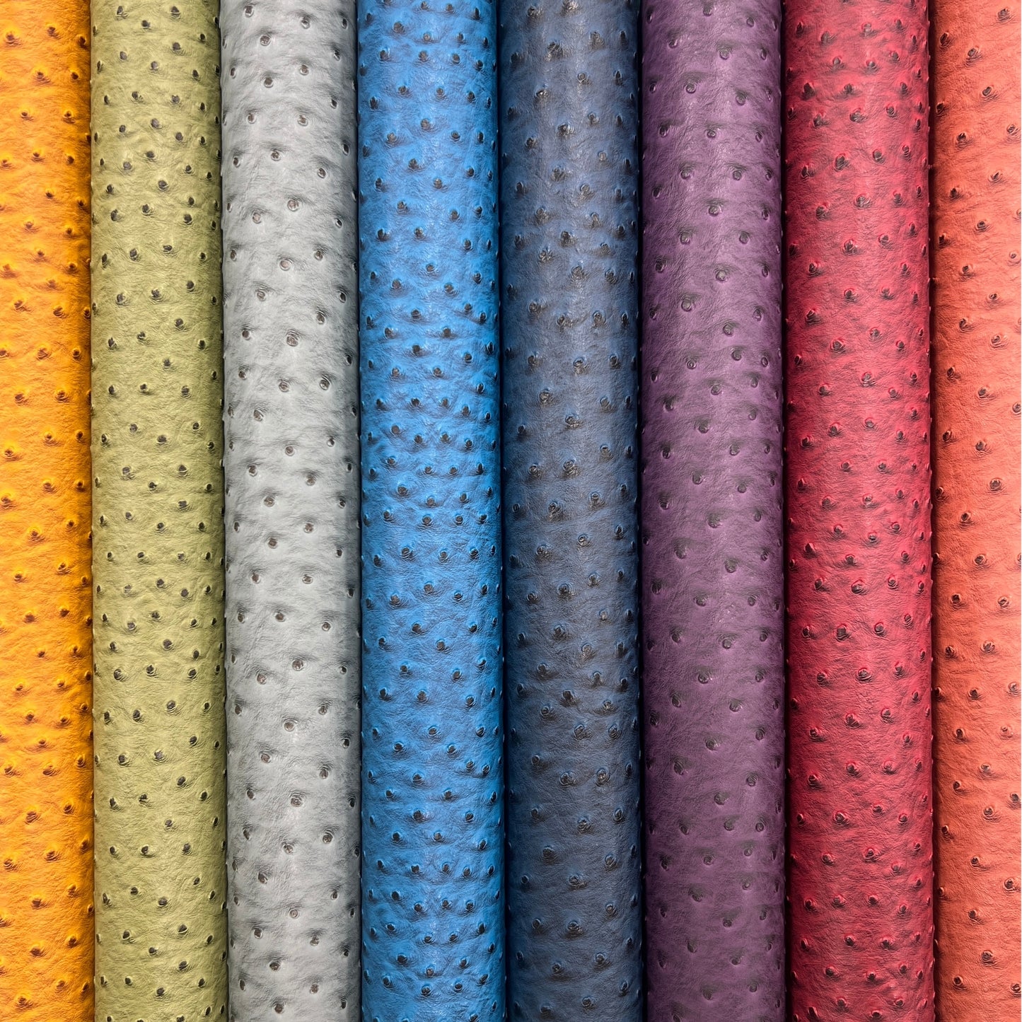 Faux Leather | Colorful Ostrich image 0