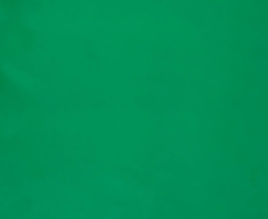 Italian Leather Hide | Emerald Green image 0