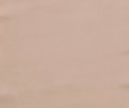 Italian Leather Hide | Apricot image 0