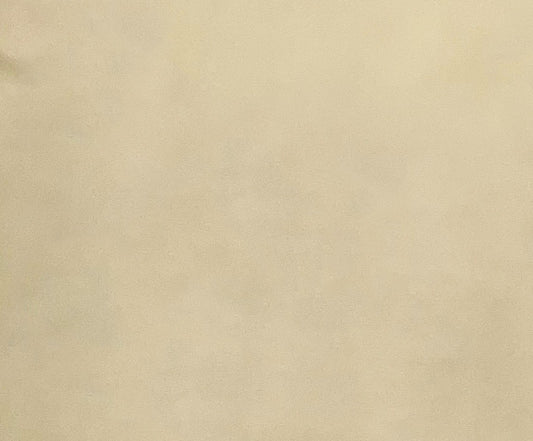 Italian Leather Hide | Tan image 0