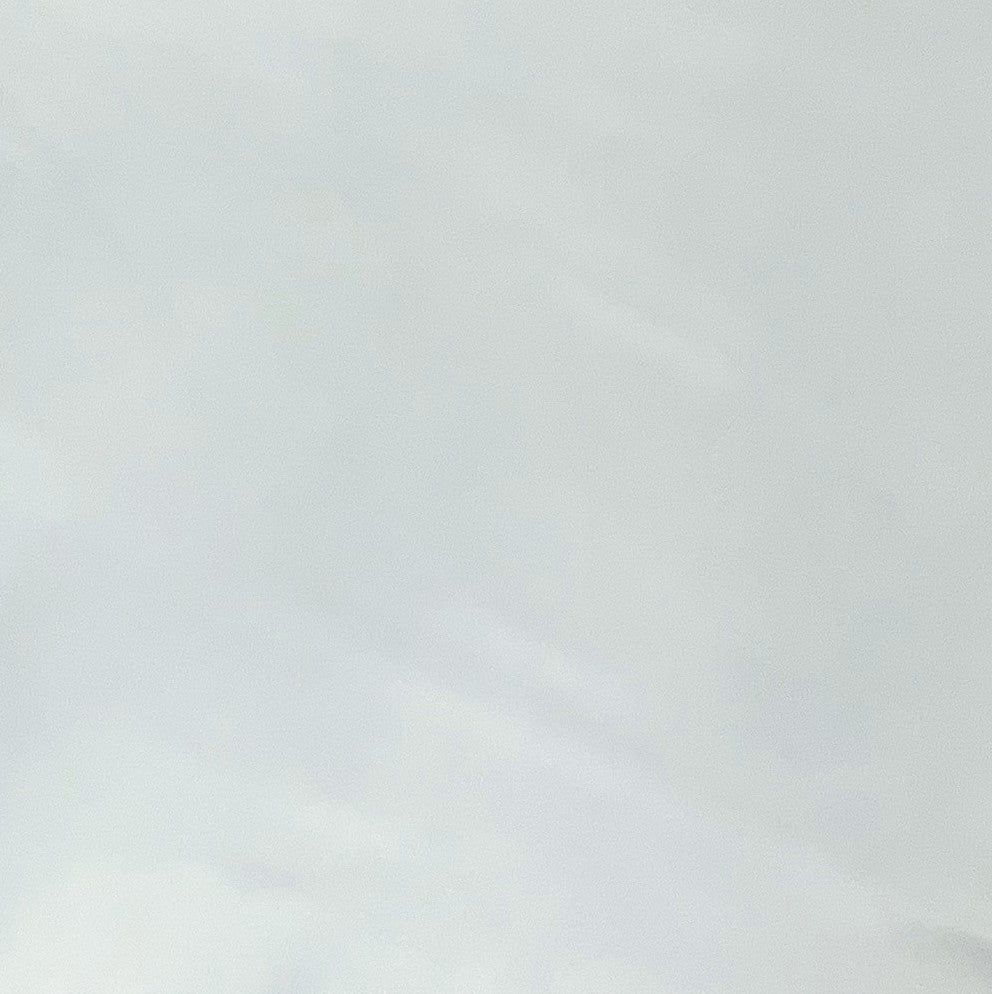 Italian Leather Hide | Honeydew Green image 0