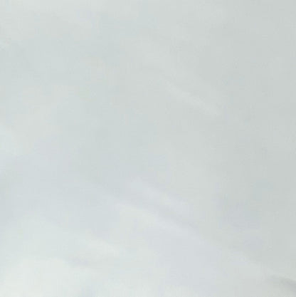 Italian Leather Hide | Honeydew Green image 0