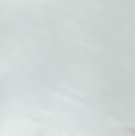 Italian Leather Hide | Honeydew Green image 0