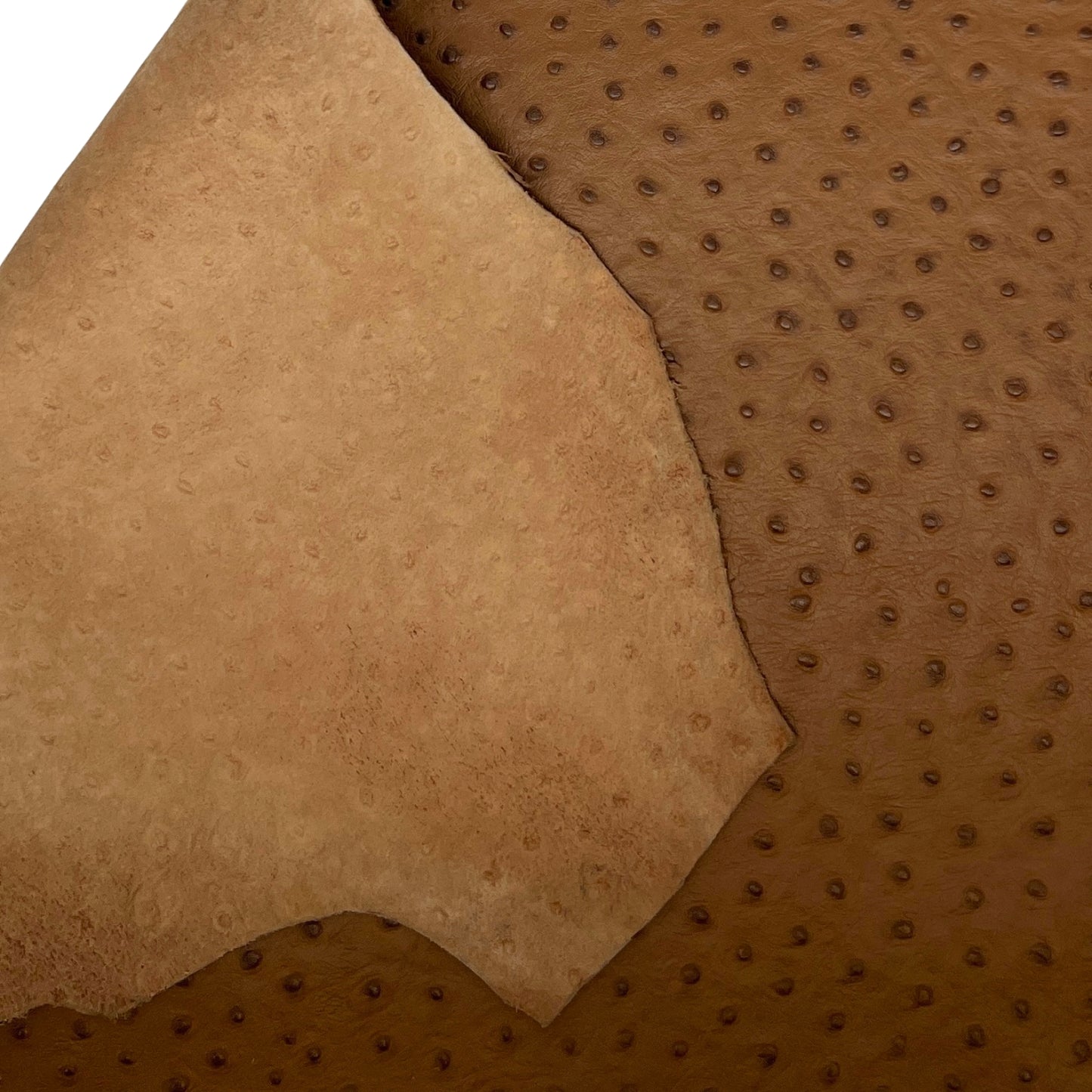 Italian Leather Hide | Light Brown Embossed Ostrich image 2