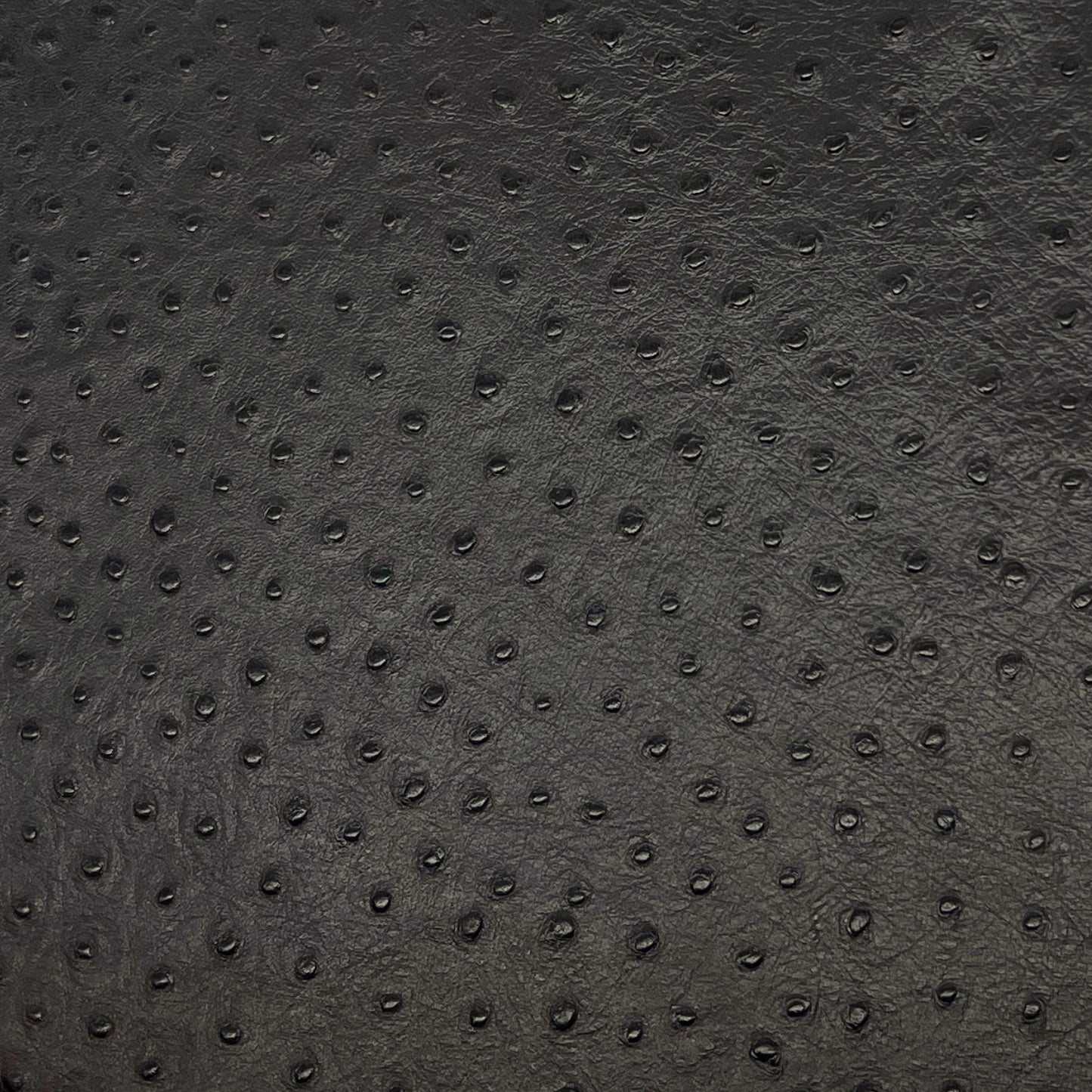 Italian Leather Hide | Very Dark Brown Embossed Ostrich image 0