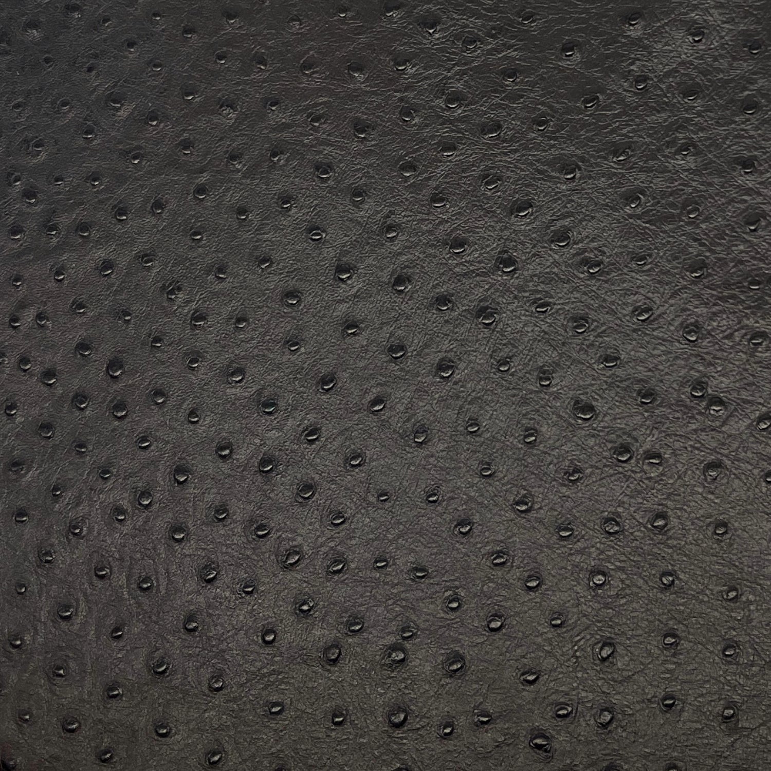 Italian Leather Hide | Very Dark Brown Embossed Ostrich image 0