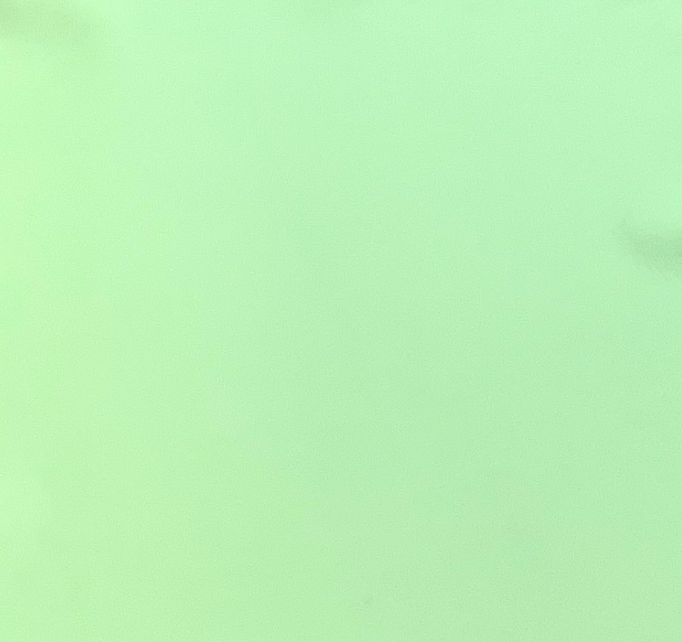 Italian Leather Hide | Pale Green image 0