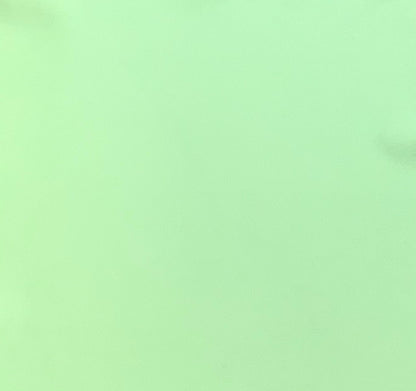 Italian Leather Hide | Pale Green image 0