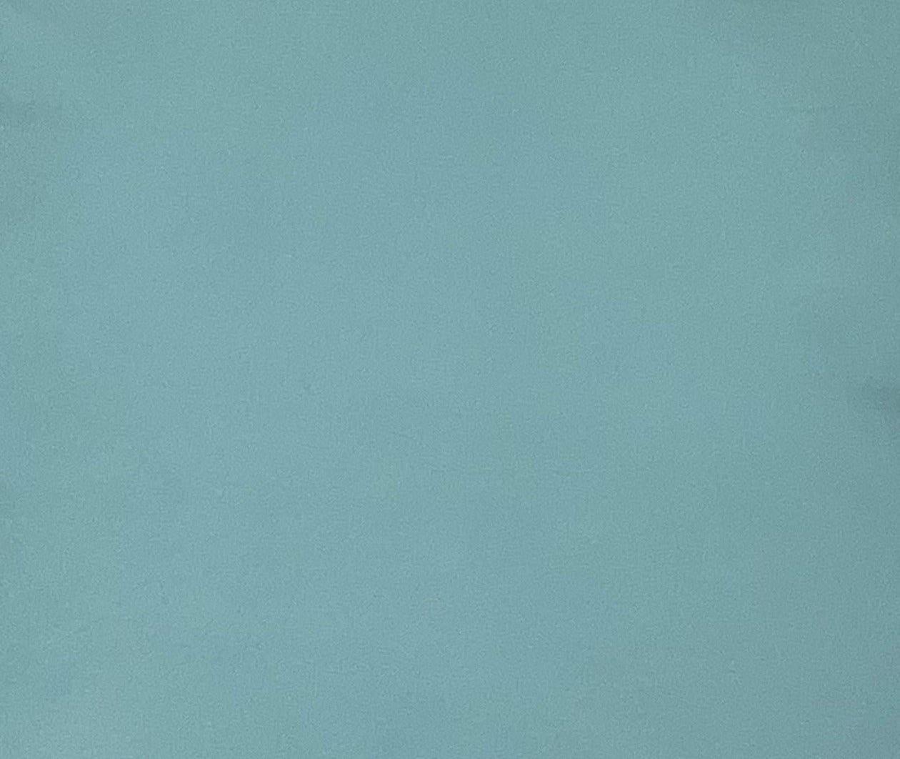 Italian Leather Hide | Sea Green image 0