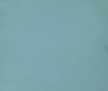 Italian Leather Hide | Sea Green image 0