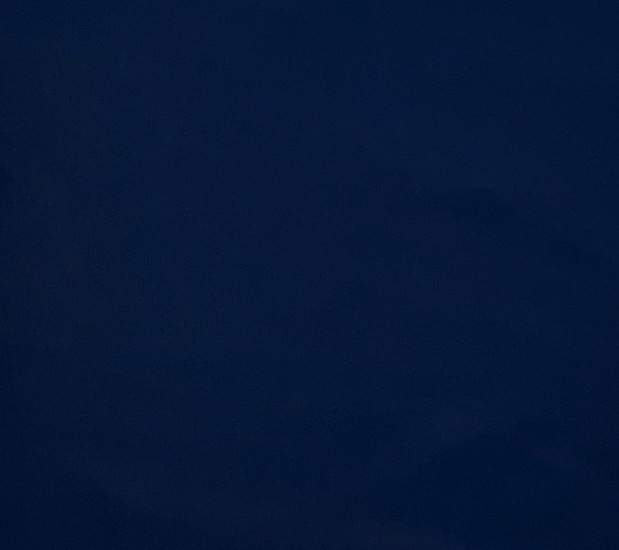 Italian Leather Hide | Navy (Blue) image 0