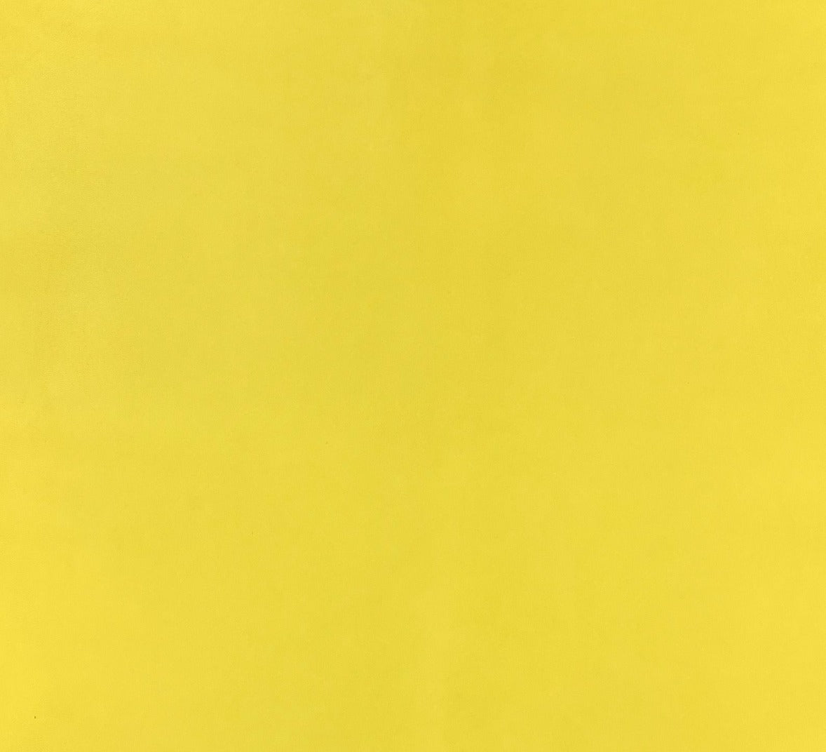 Italian Leather Hide | Sunshine (Yellow) image 0