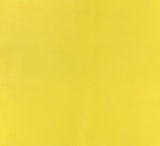 Italian Leather Hide | Sunshine (Yellow) image 0