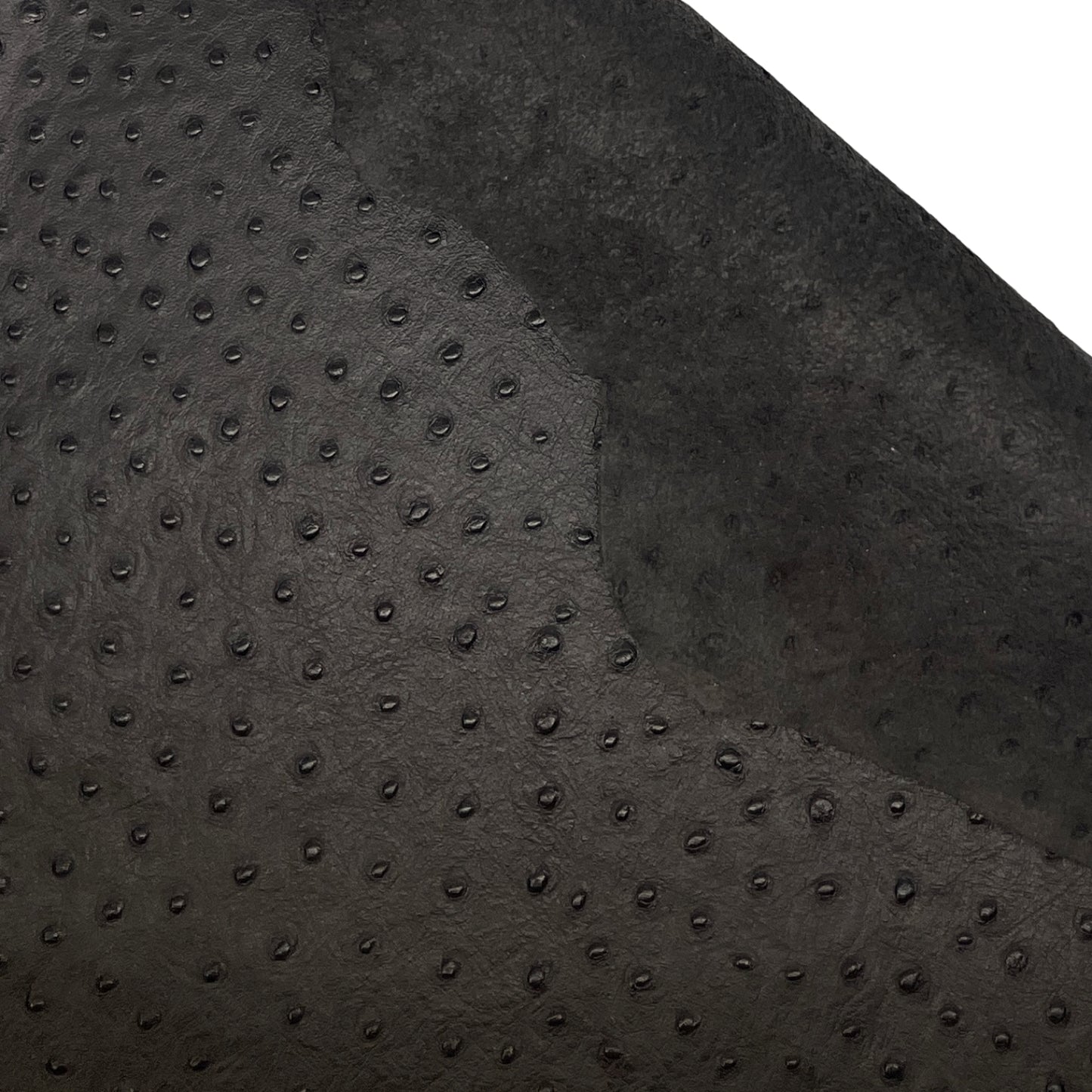 Italian Leather Hide | Very Dark Brown Embossed Ostrich image 2