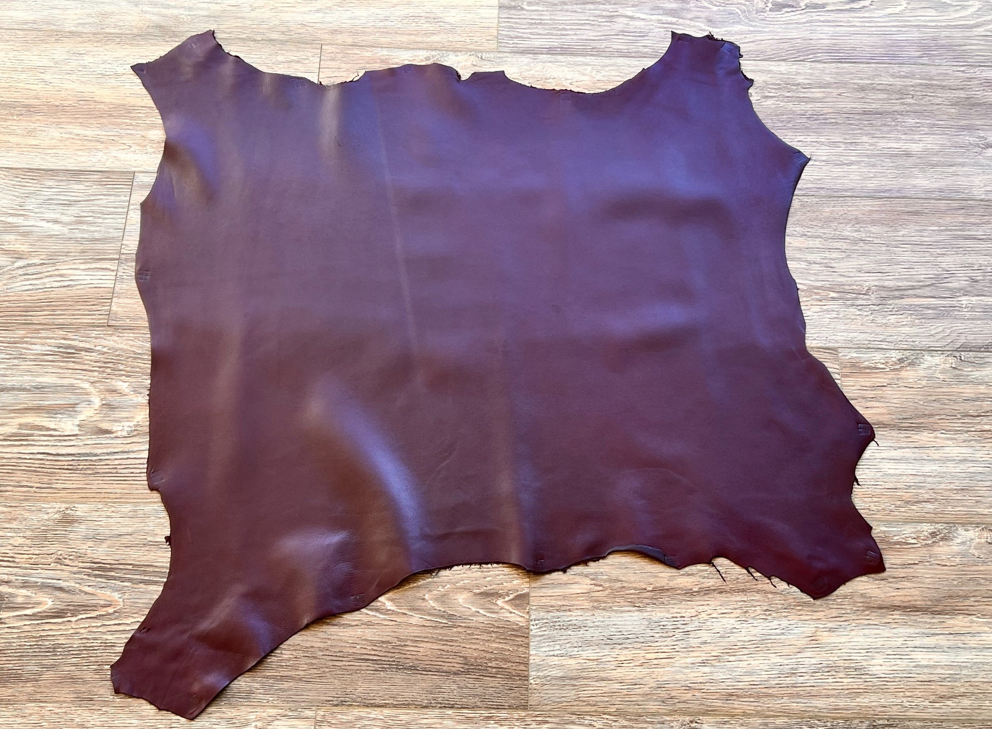 Practice/Damaged Italian Leather Hides image 0