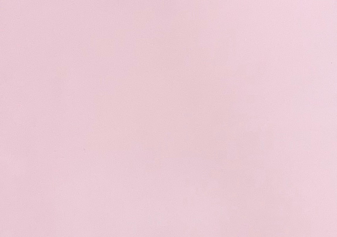 Italian Leather Hide | Ballet Pink image 0
