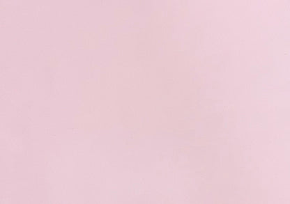 Italian Leather Hide | Ballet Pink image 0