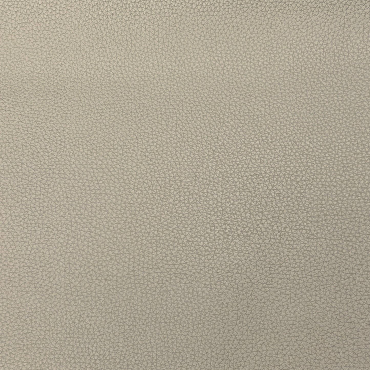 Faux Leather | Textured image 7