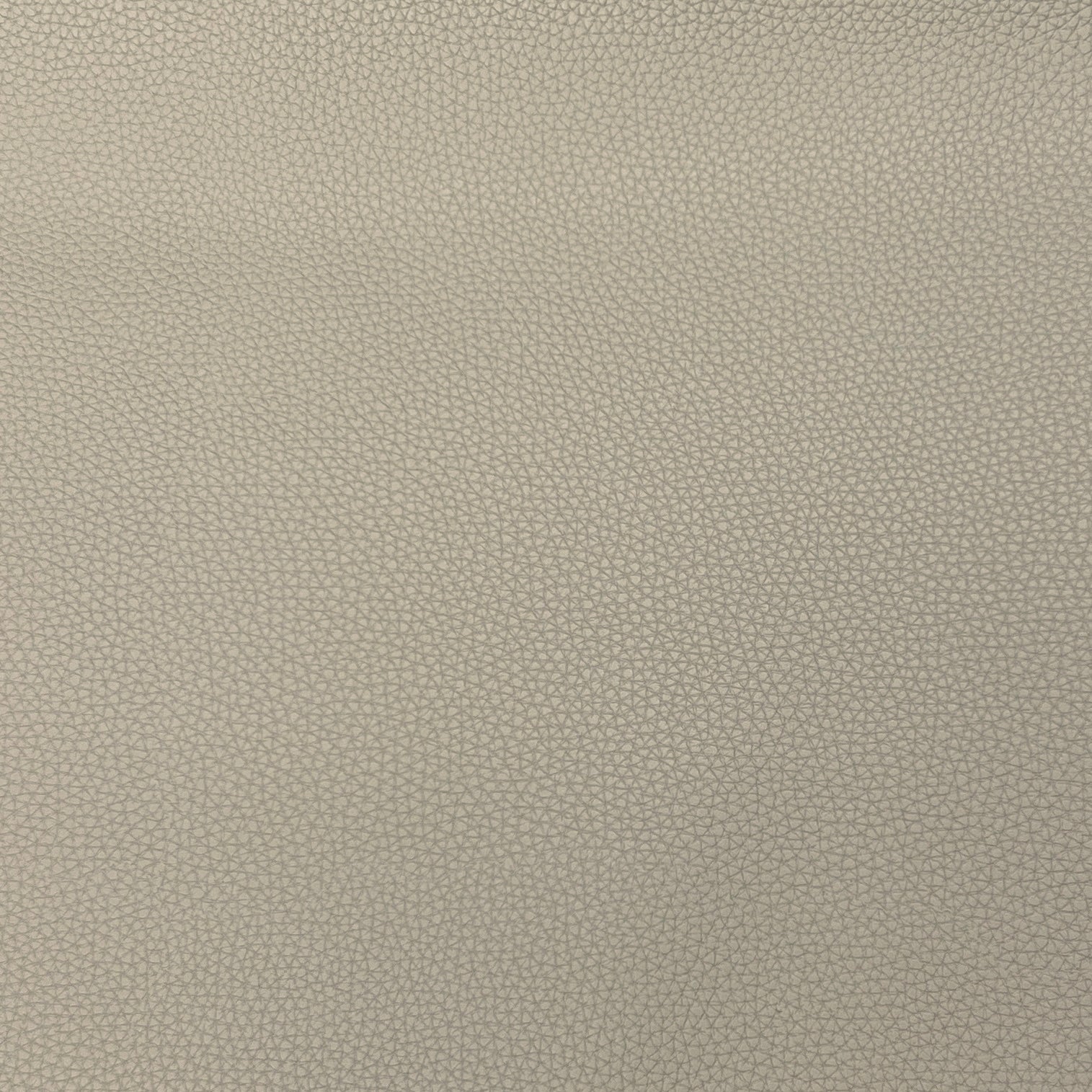 Faux Leather | Textured image 7