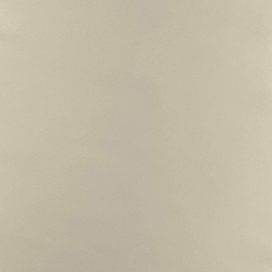 Italian Leather Hide | Cream image 0