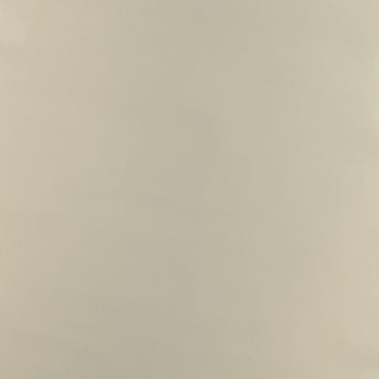 Italian Leather Hide | Cream image 0