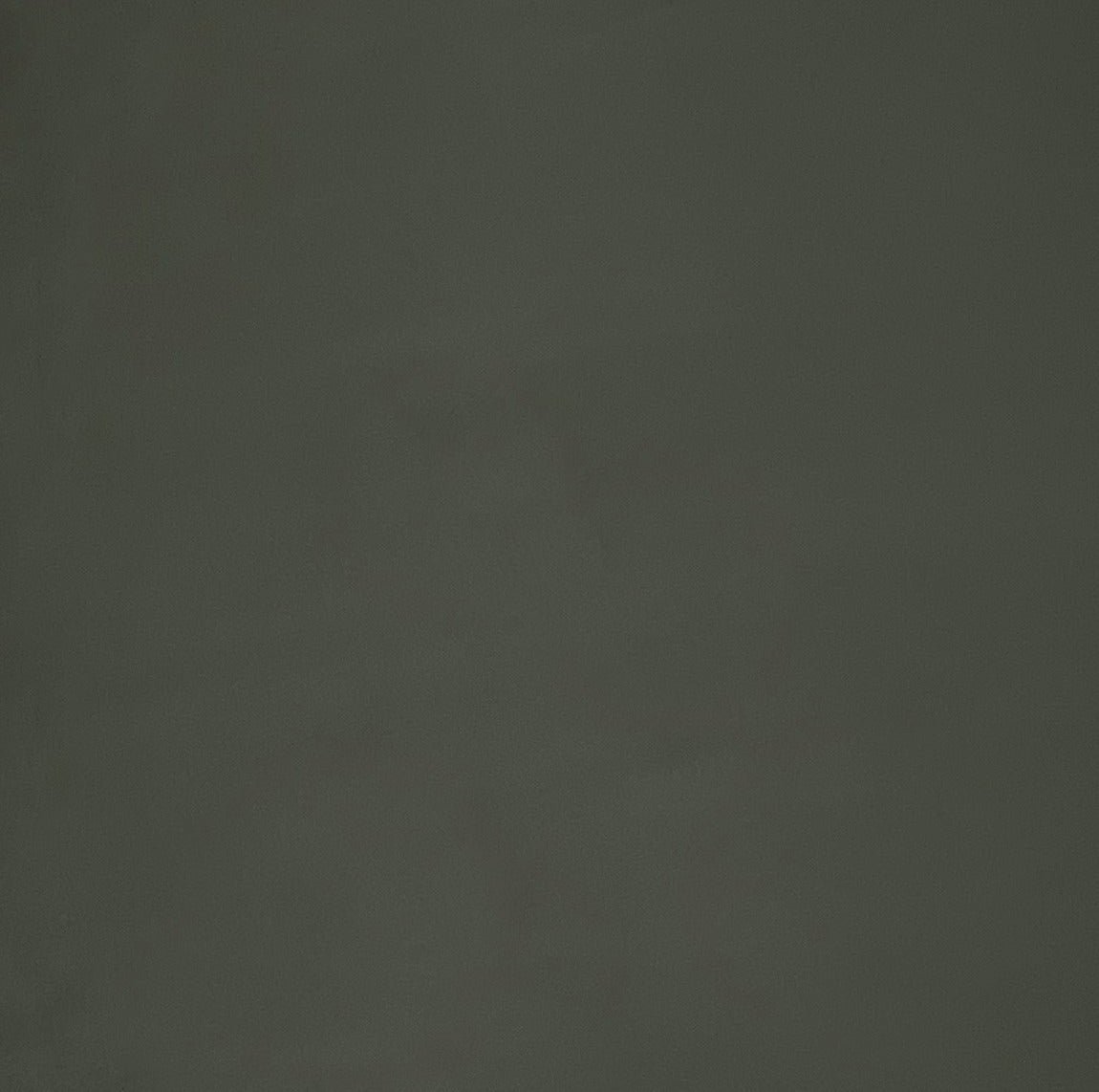 Italian Leather Hide | Olive Green image 0