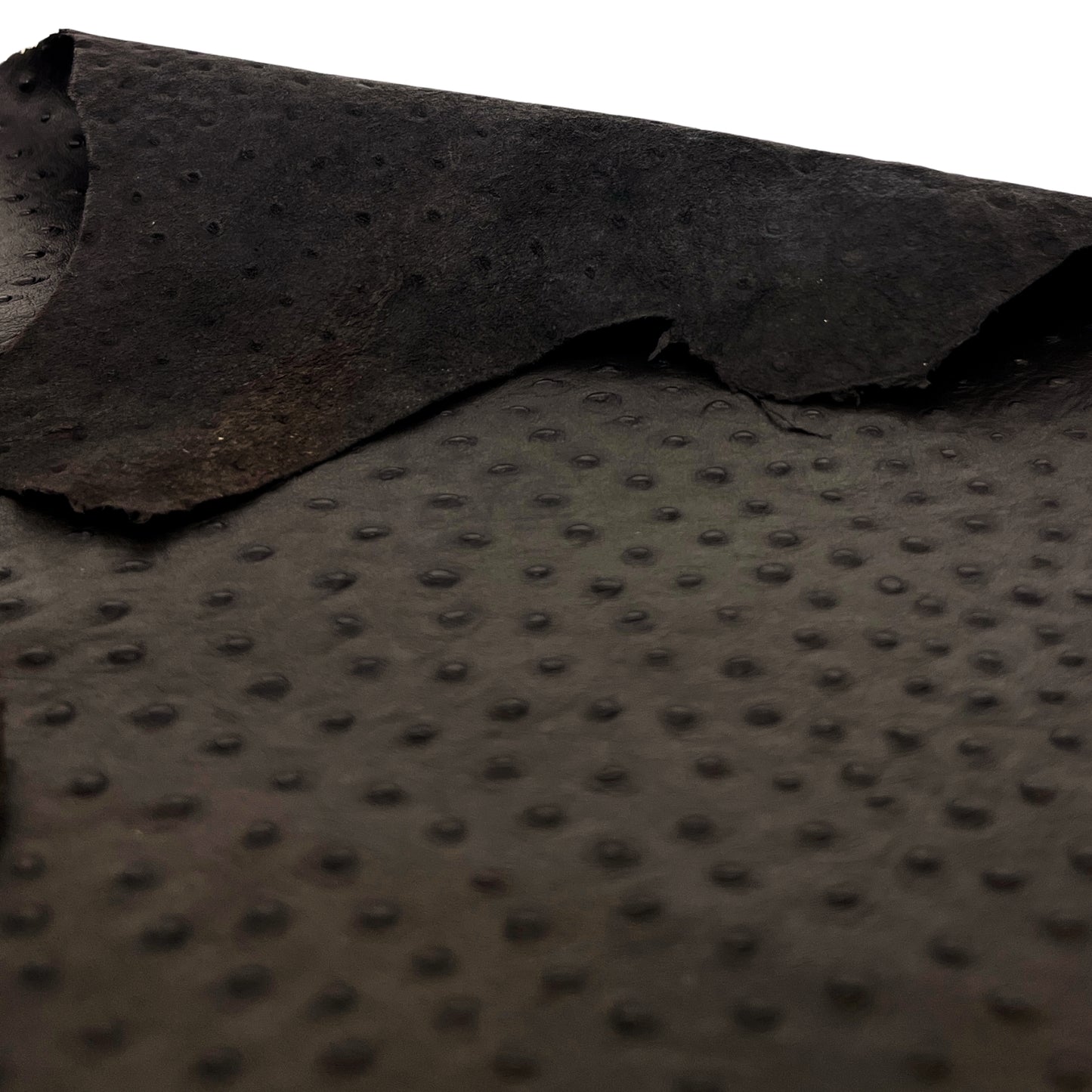 Italian Leather Hide | Very Dark Brown Embossed Ostrich image 3