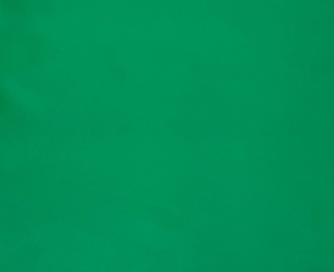 Italian Leather Hide | Emerald Green image 0