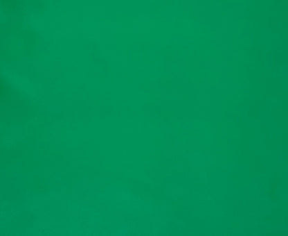 Italian Leather Hide | Emerald Green image 0