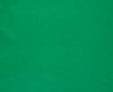 Italian Leather Hide | Emerald Green image 0