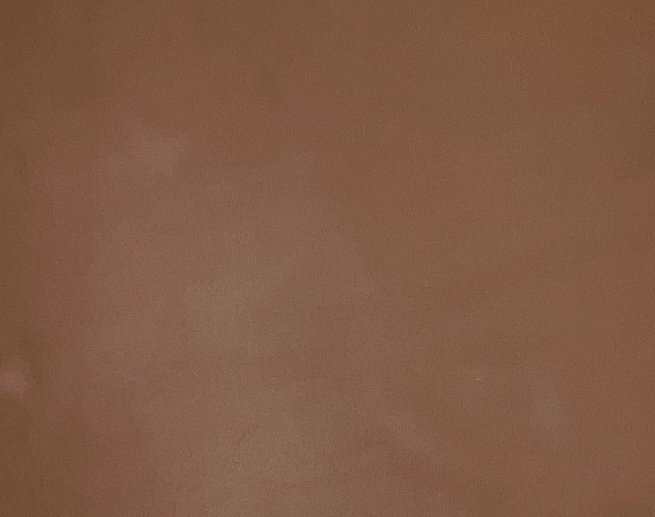 Italian Leather Hide | Camel image 0
