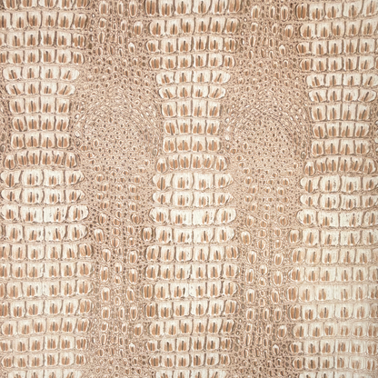 Aged Matte Faux Crocodile – Champagne