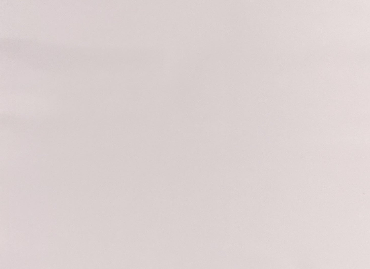 Italian Leather Hide | Barely Pink image 0