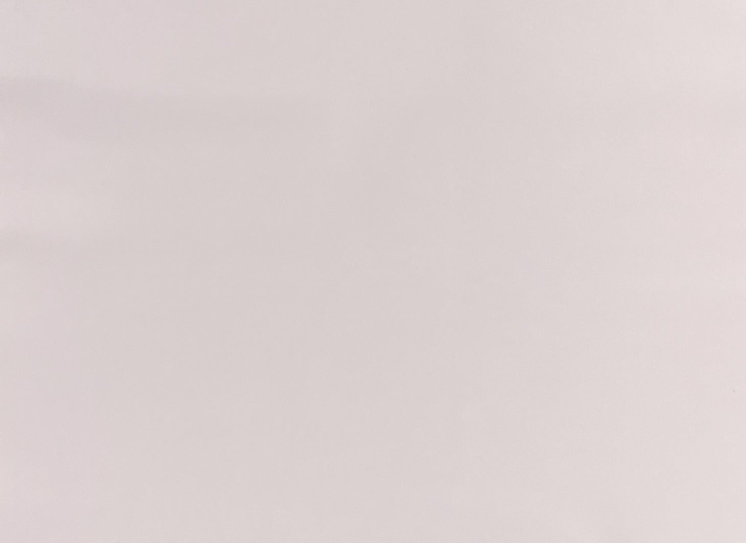 Italian Leather Hide | Barely Pink image 0