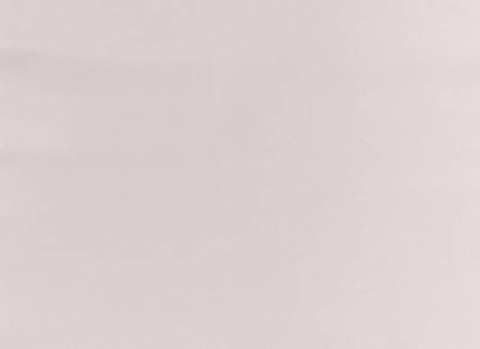 Italian Leather Hide | Barely Pink image 0