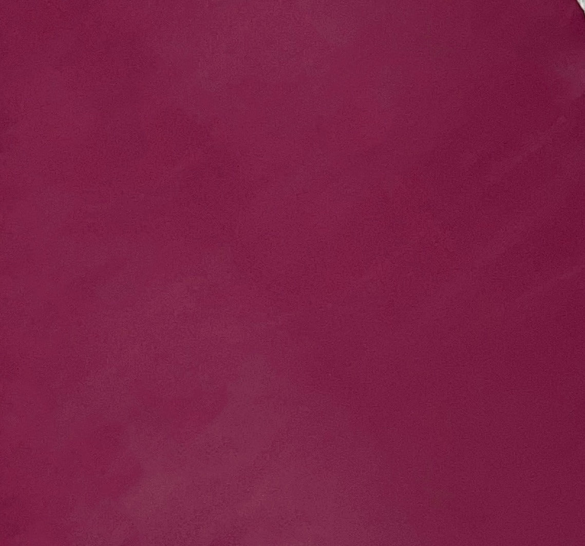 Italian Leather Hide | Rich Red image 0