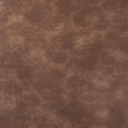 Faux Leather | Aged image 2