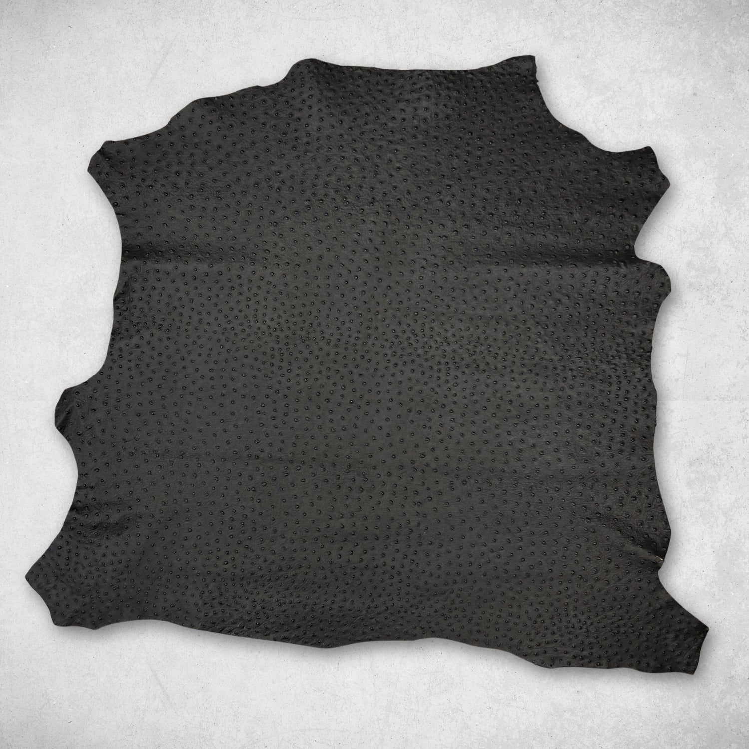 Italian Leather Hide | Very Dark Brown Embossed Ostrich image 1