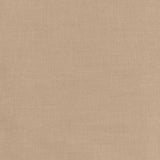 Beige Chambray | Cotton Lining by Tilda image 0