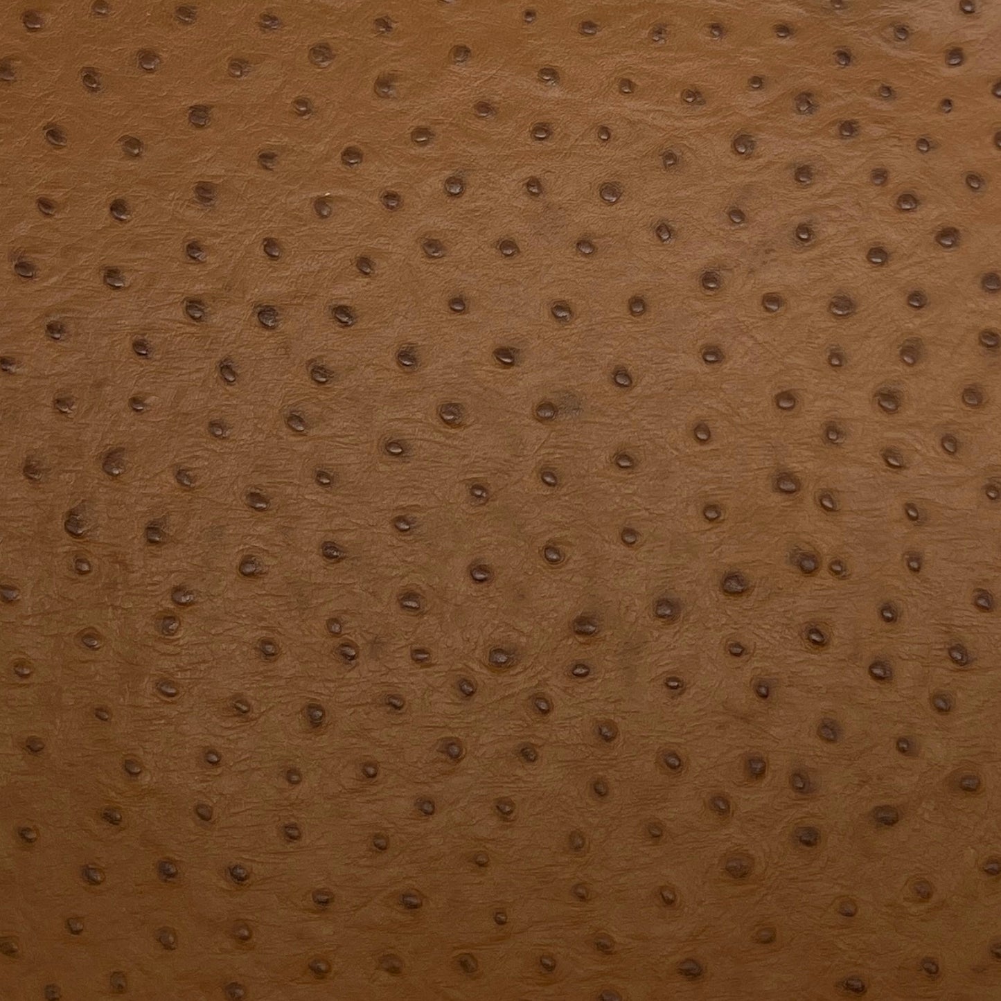 Italian Leather Hide | Light Brown Embossed Ostrich image 0