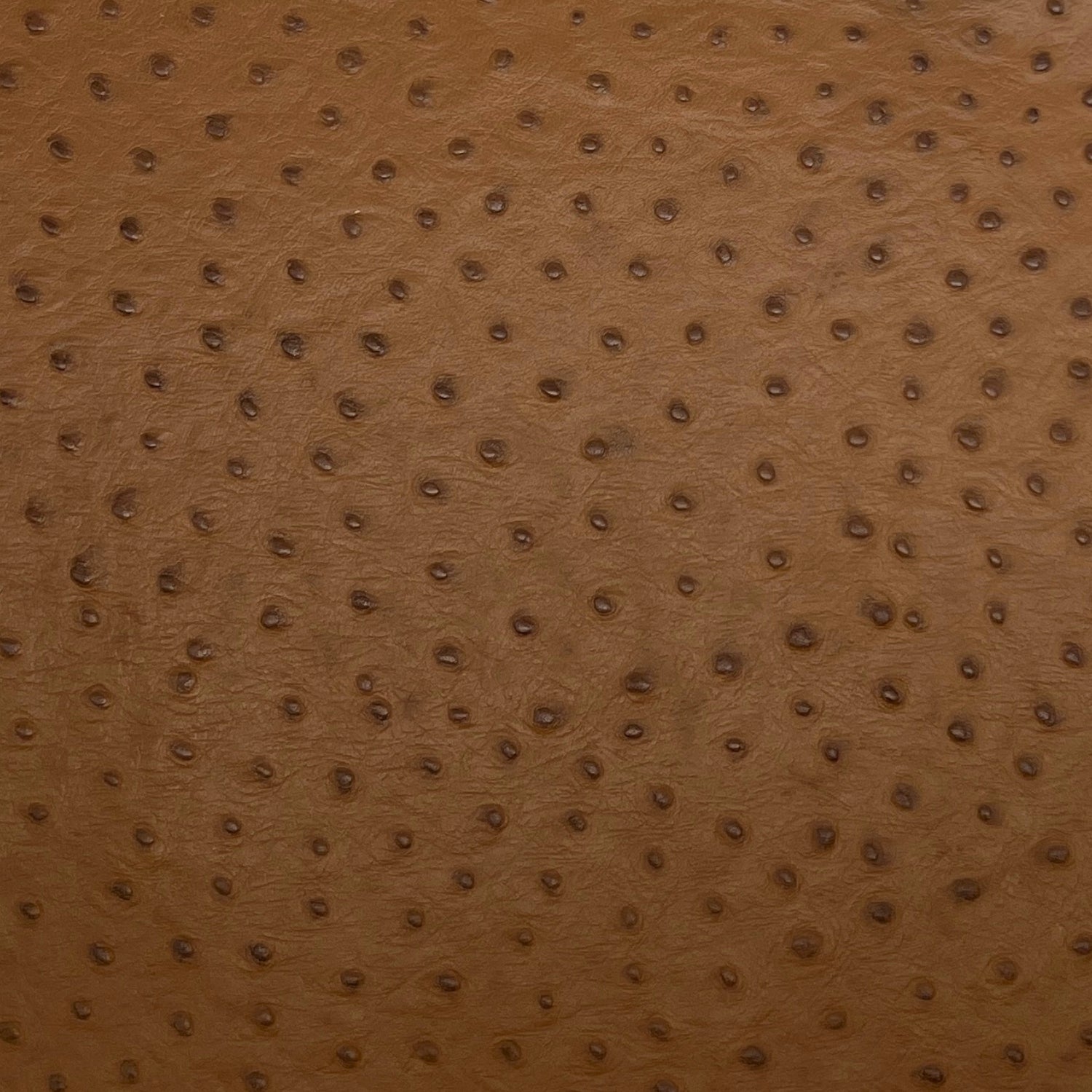 Italian Leather Hide | Light Brown Embossed Ostrich image 0