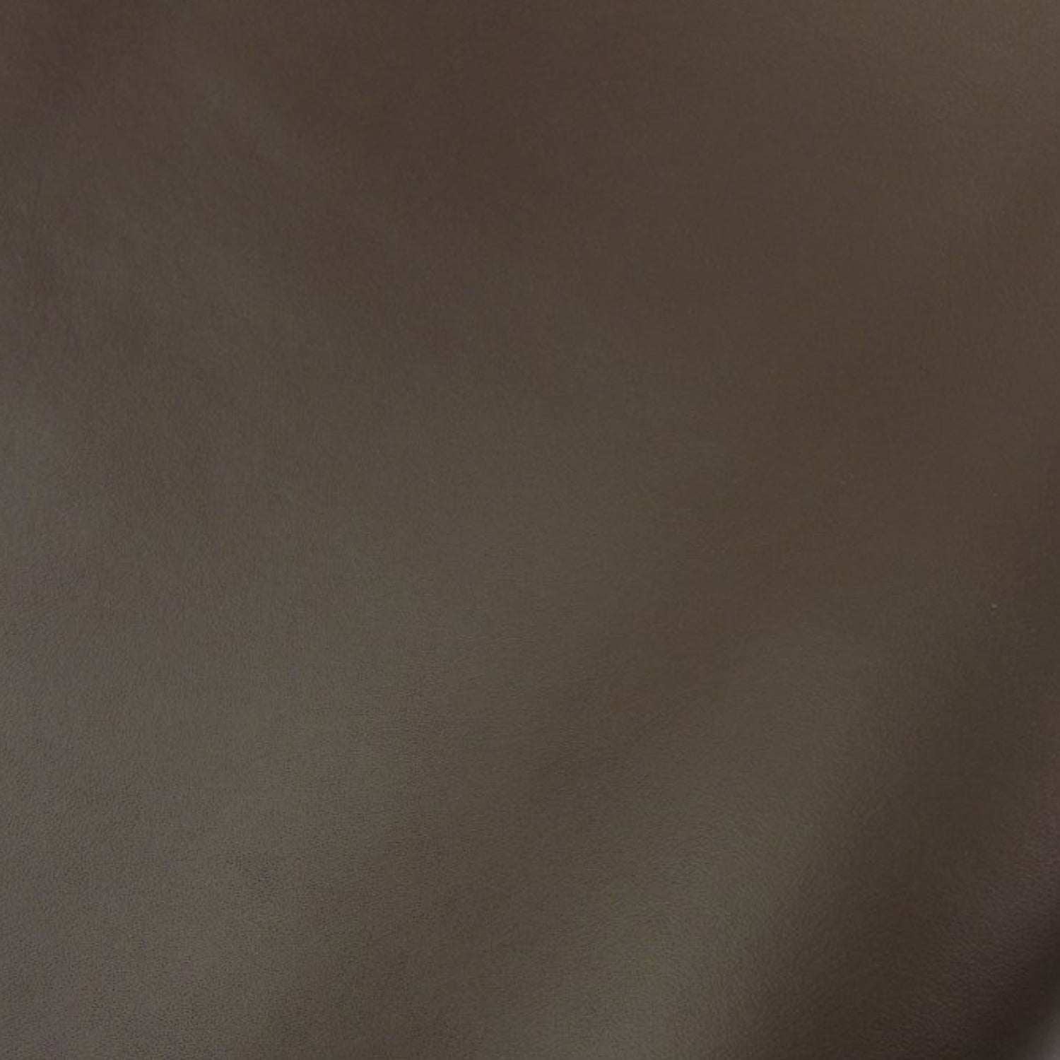 Vegetable Tanned Leather Hide | Dark Brown image 0
